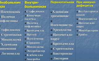 Что такое сегментарная пневмония легких