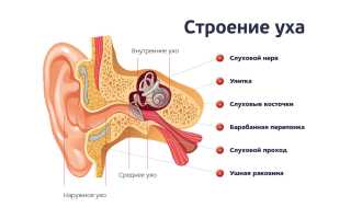 Чем быстро снять боль при отите