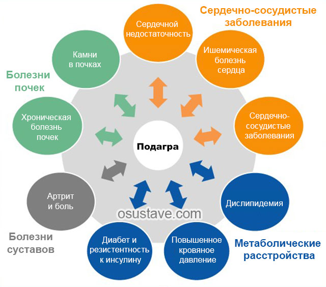 заболевания, связанные с высоким уровнем мочевой кислоты