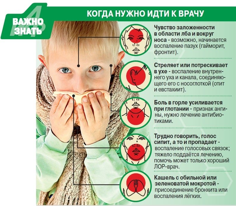 Что показывает рентген легких при пневмонии thumbnail