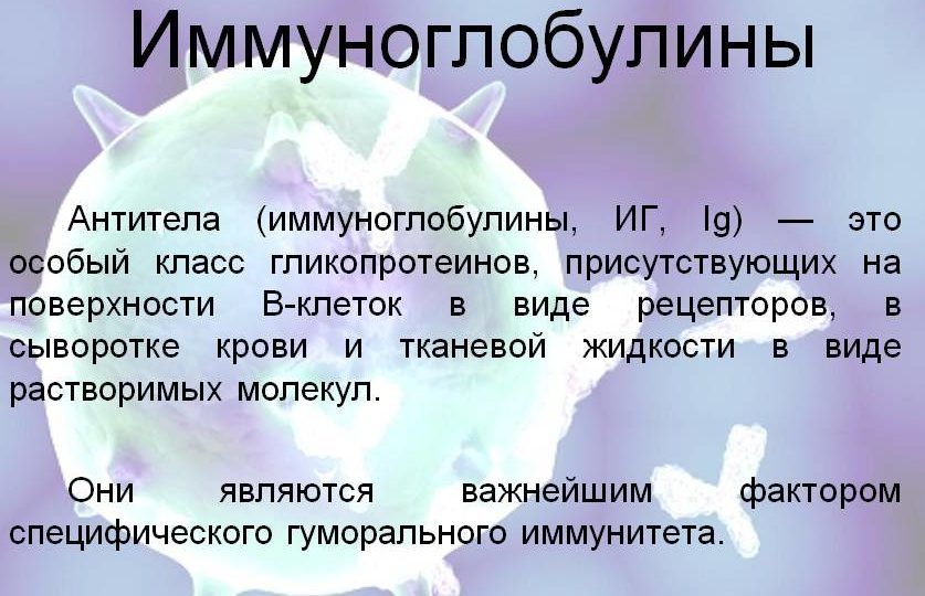 Иммуноглобулины