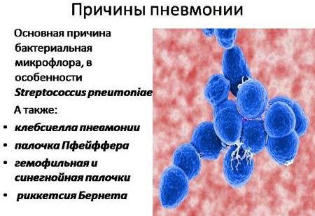 Профилактика пневмонии у детей и взрослых thumbnail