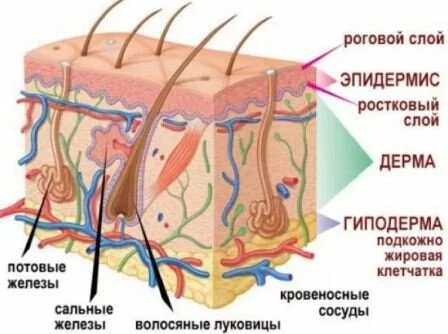 Лечение термических ожогов