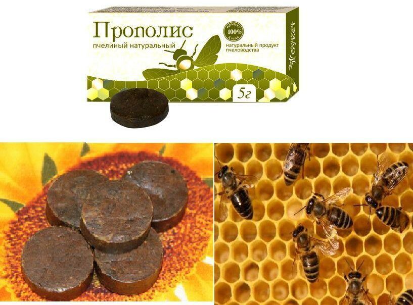 Прополис
